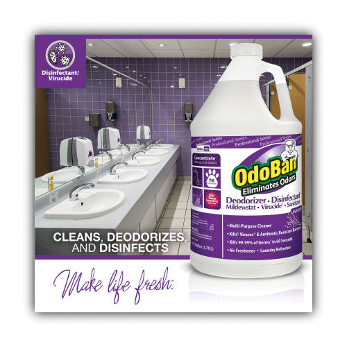 OdoBan Concentrate Odor Eliminator and Disinfectant, Lavender Scent, 1 gal Bottle, 4/Carton (911162G4)