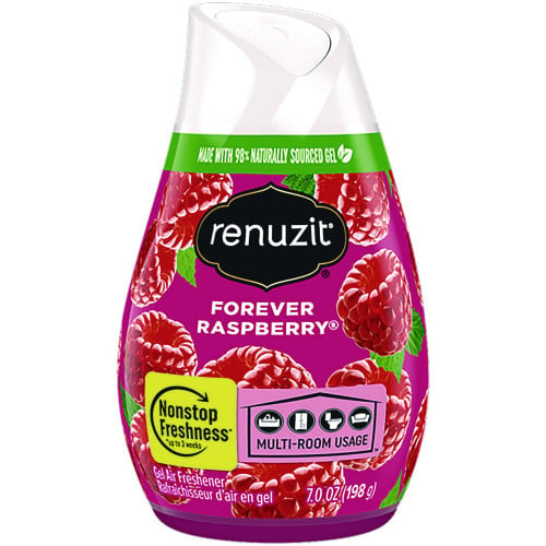 Renuzit Adjustables Air Freshener, Forever Raspberry, 7 oz Solid, 12/Carton (43111CT)